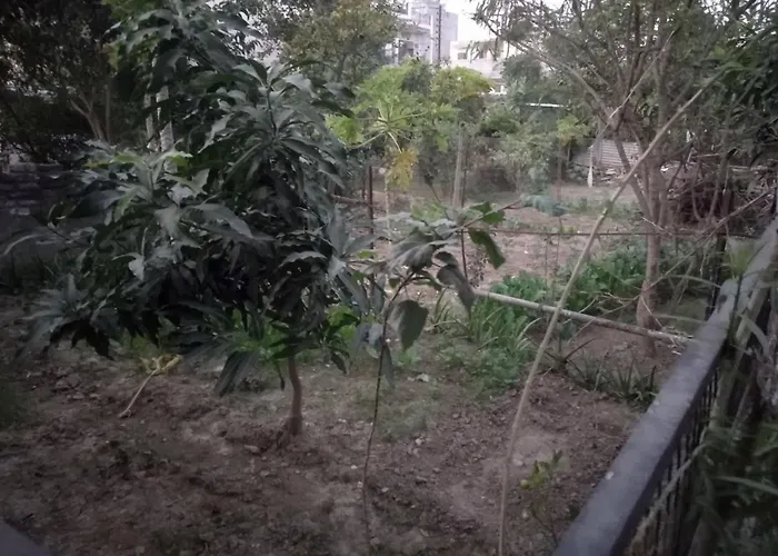 Videep House