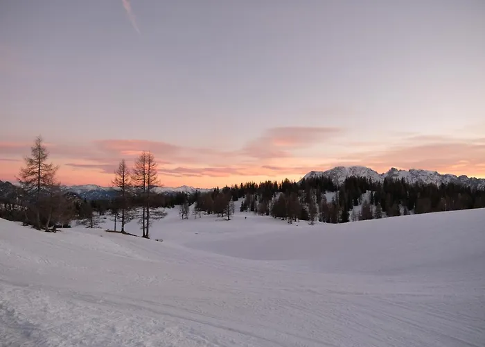 Alpenhotel Steirerhof