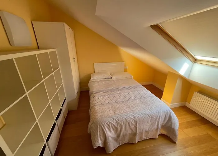 Lugo 360