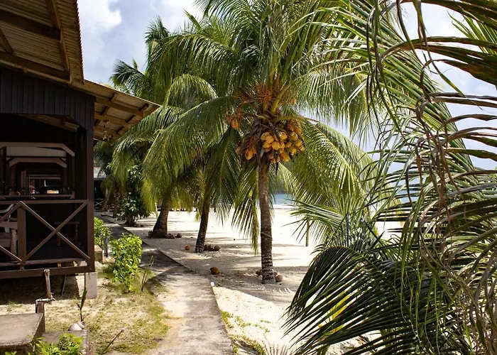 Bushman Tioman