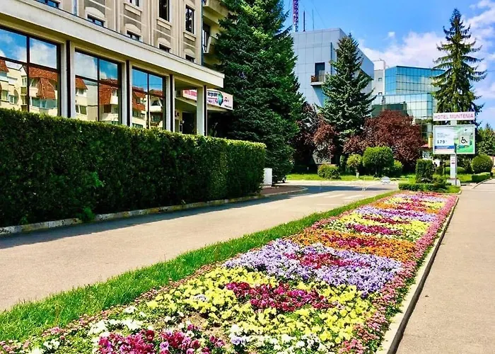 Hotel Muntenia