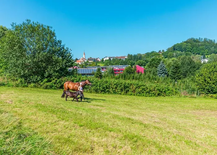 Familienhotel Reiterhof Runding