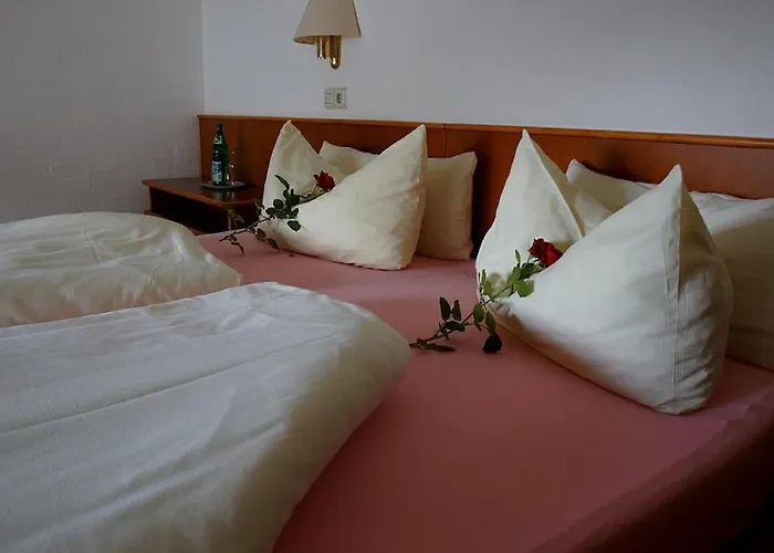 Elektro-Hotel Rosenhaus Gmbh