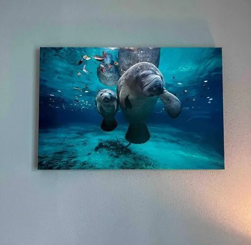 House Of Manatees-Entire House With Yard, Fire Pit, Dog Friendly