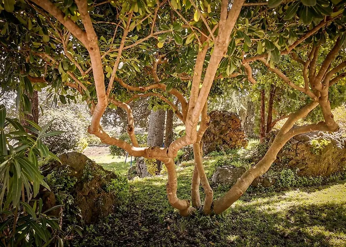 Santoro Country House Boutique Etna Retreat