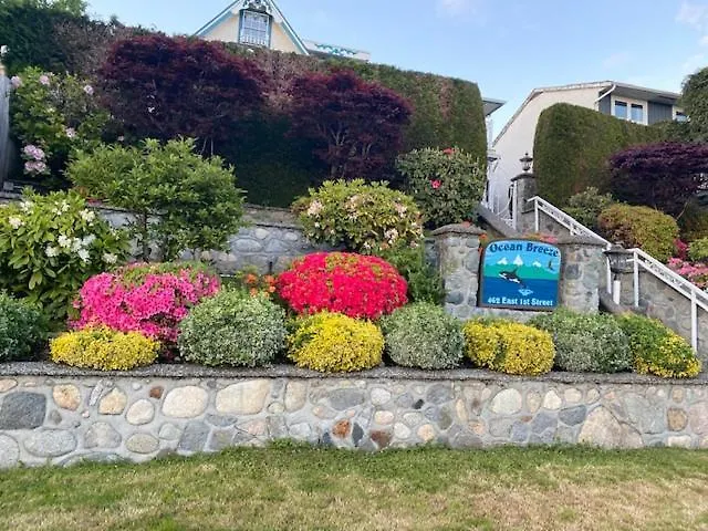 Ocean Breeze Executive Bed And Breakfast