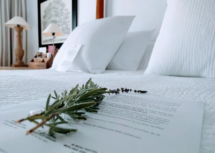 B Bou Hotel Cortijo Bravo