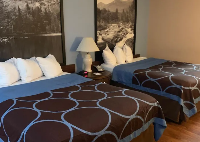 Super 8 By Wyndham Kingston
