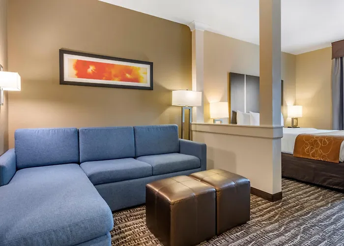 Comfort Suites Near Sam Houston Race Park