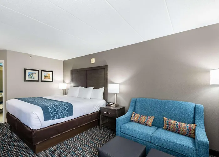 Comfort Inn Chicago Schaumburg - O'Hare Airport