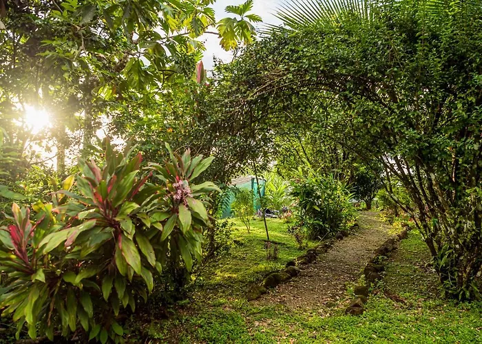 Selva Armonia Immersive Jungle Resort