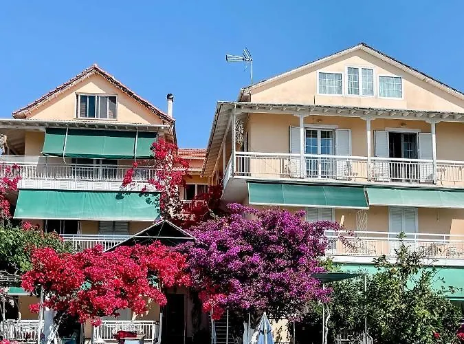 Avli Studios