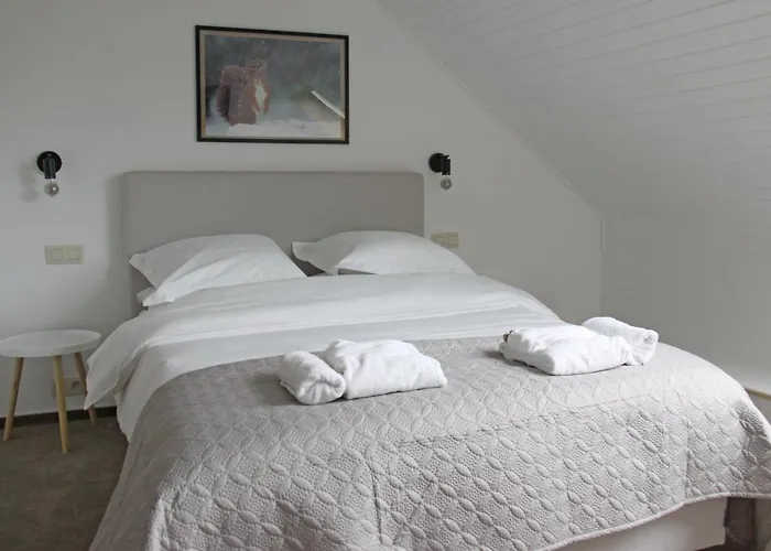 Hotel Albert 1Er