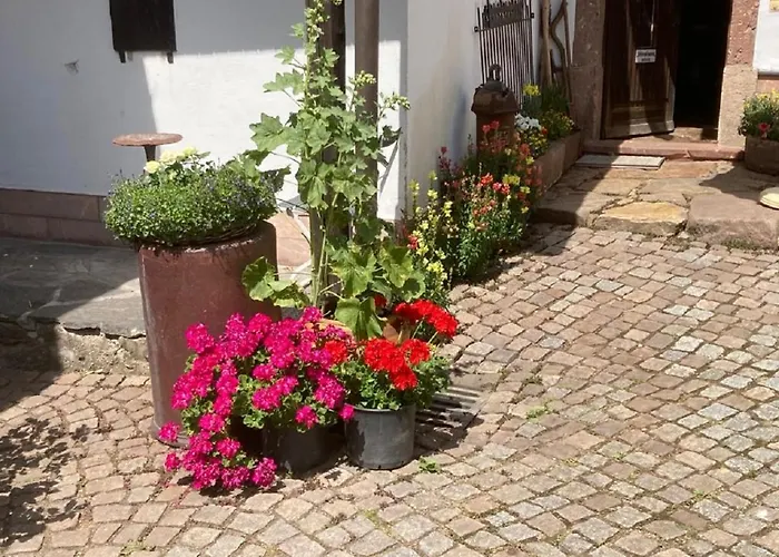 Zum Frongut