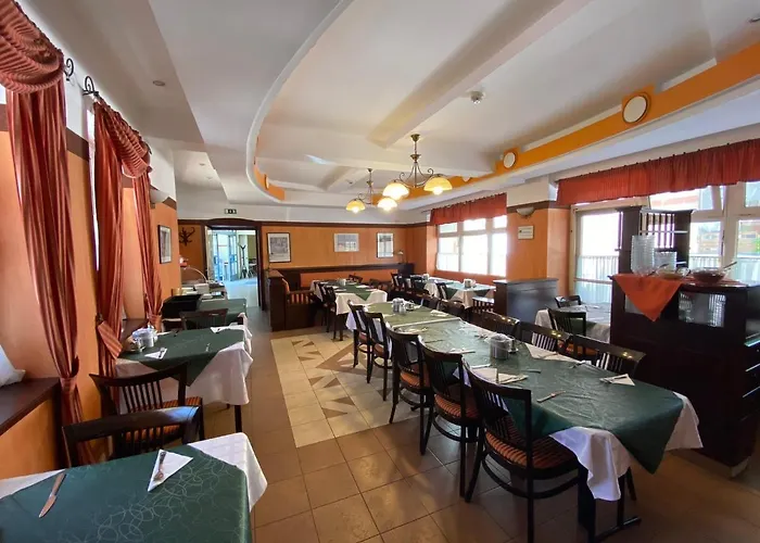 Tisza Alfa Hotel