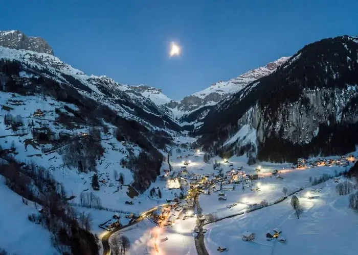 Hotel Alpina