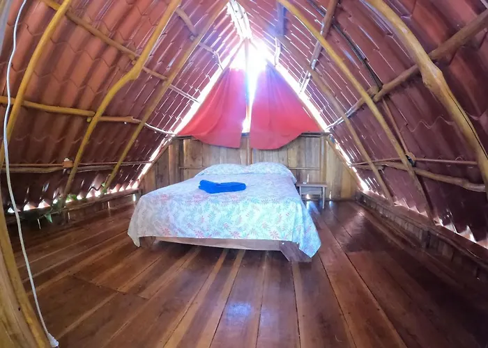 Tree House Samanea Lodge
