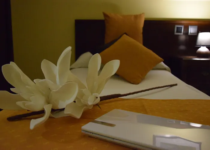 Hotel Complutense