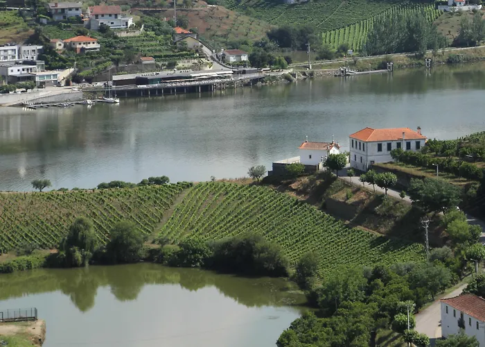 Hotel Folgosa Douro