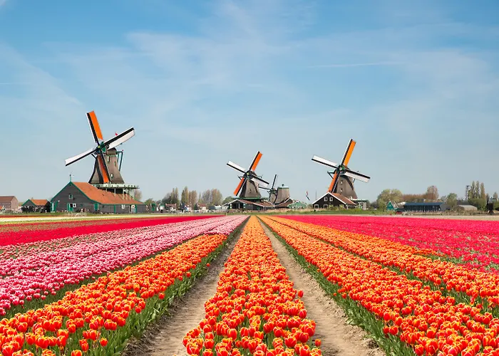 Holiday Inn The Hague - Voorburg By Ihg