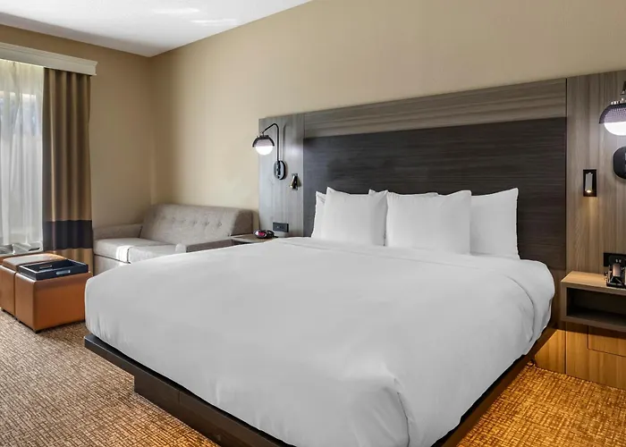 Comfort Inn & Suites North Dallas-Addison