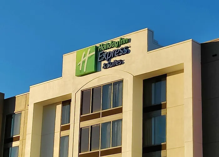 Holiday Inn Express Hotel & Suites Dallas Fort Worth Airport South By Ihg