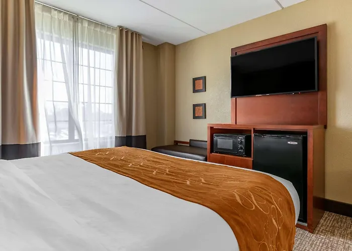 Comfort Suites Grand Rapids South