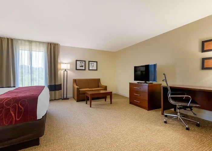 Comfort Inn&Suites Macon West