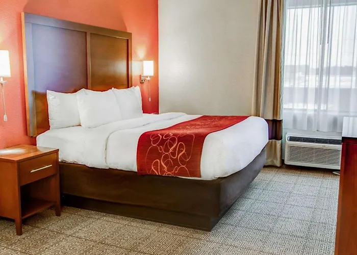 Comfort Suites Tyler South
