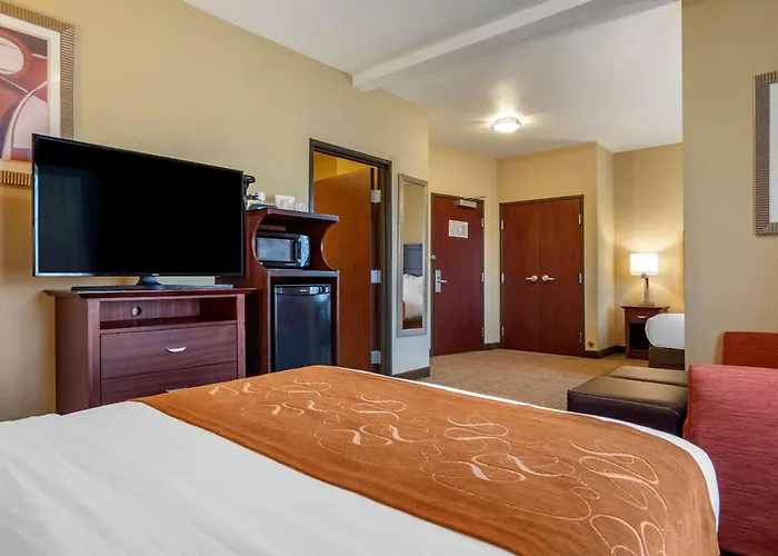 Comfort Suites Airport South
