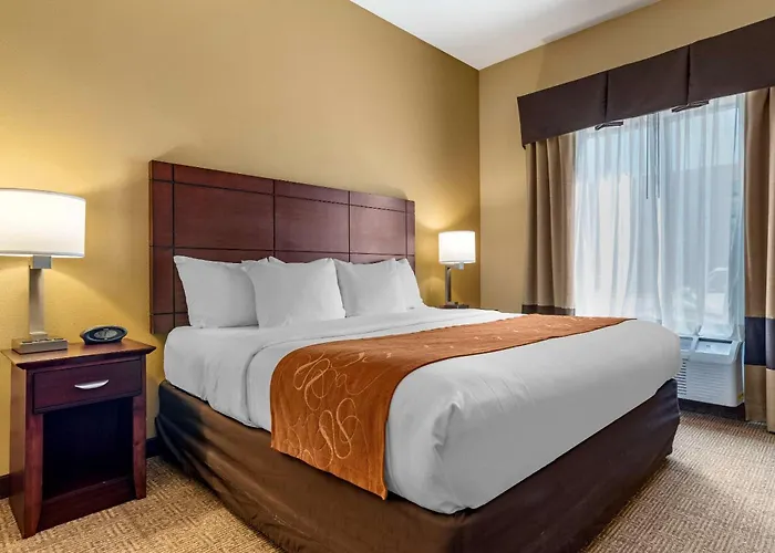 Comfort Suites Airport South