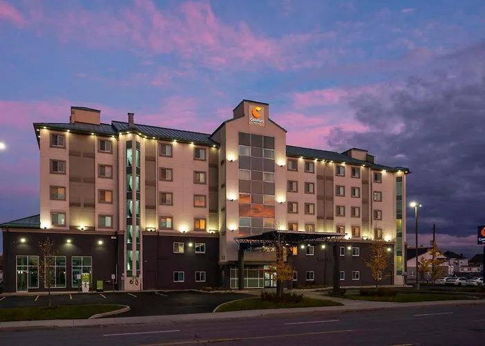 Comfort Hotel