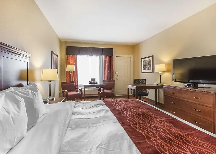 Comfort Inn Airport