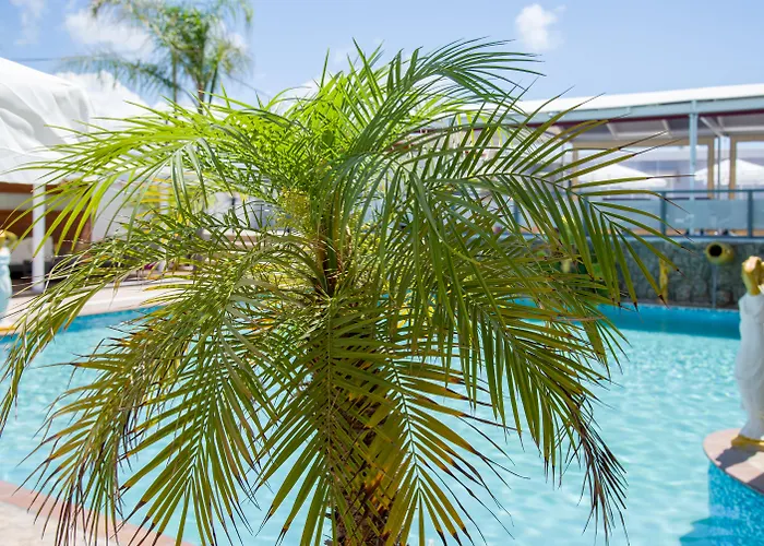 Paradice Hotel Luxury Suites-Near Zorbas Beach-Free Breakfast