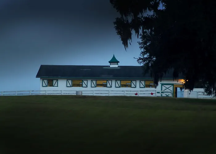 Best Western Ocala Park Centre
