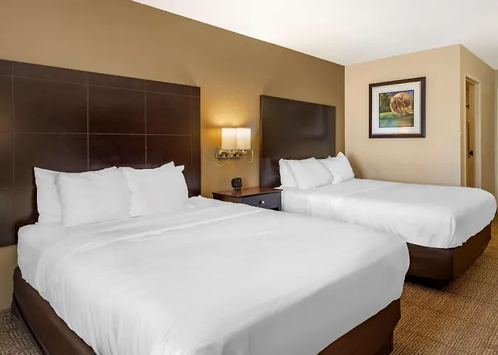 Comfort Inn & Suites Paw Paw