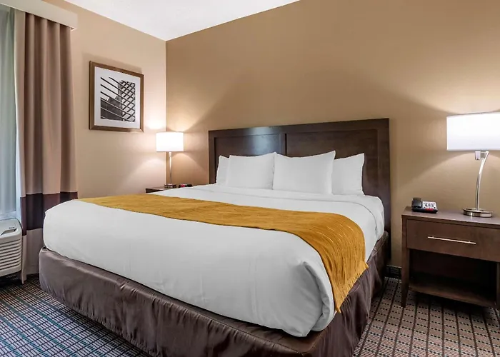 Comfort Inn & Suites Cincinnati Uptown Clifton