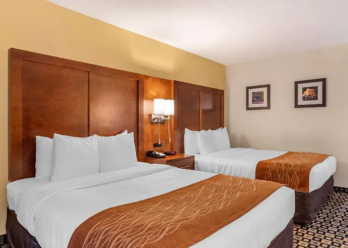 Comfort Inn & Suites Athens North