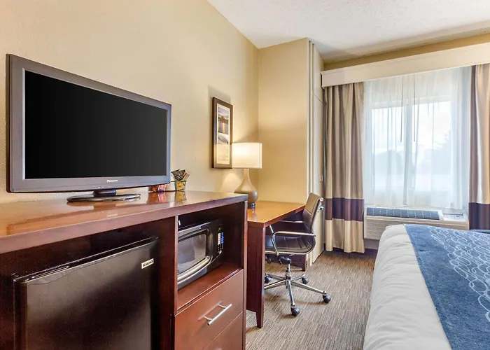 Comfort Inn Rockford Near Casino District