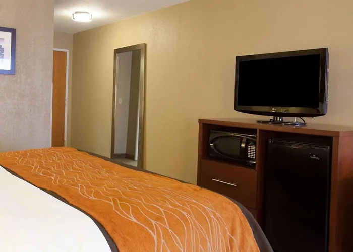 Quality Inn & Suites I-40 East