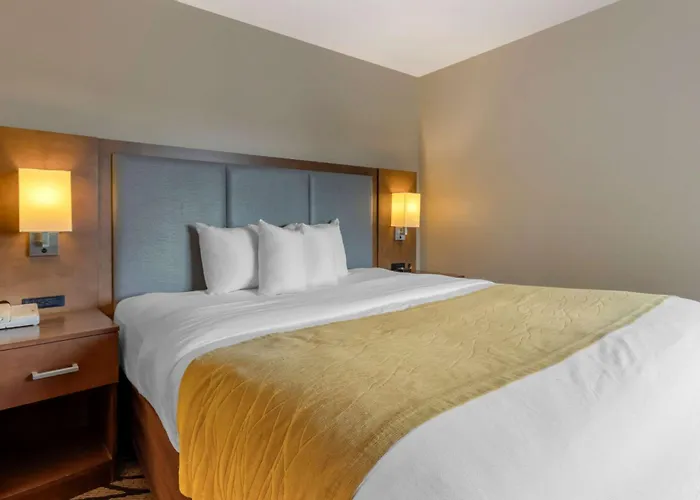 Comfort Inn & Suites Market - Airport