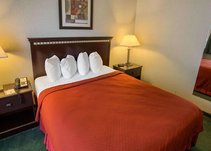 Quality Inn Near Northtown Mall & National Sports Center