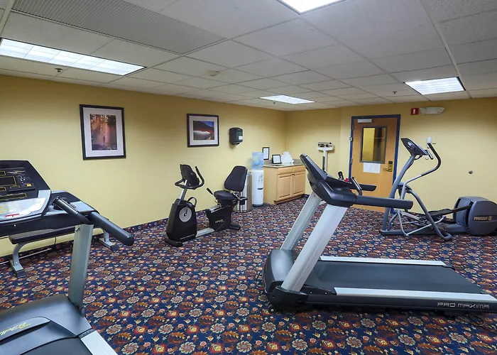 City Express By Marriott Bemidji