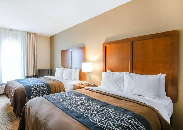 Comfort Inn & Suites Lynchburg Airport - University Area