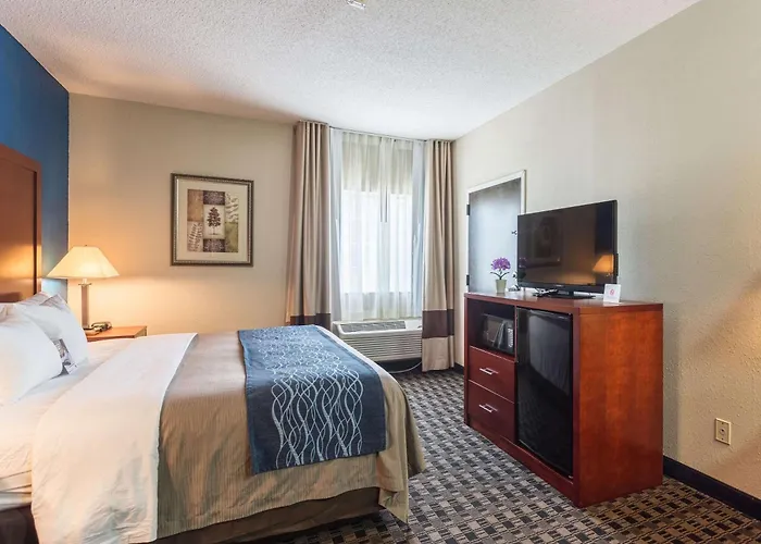 Comfort Inn Decatur Priceville