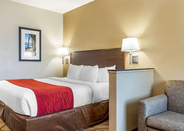Comfort Inn & Suites Orange County John Wayne Airport