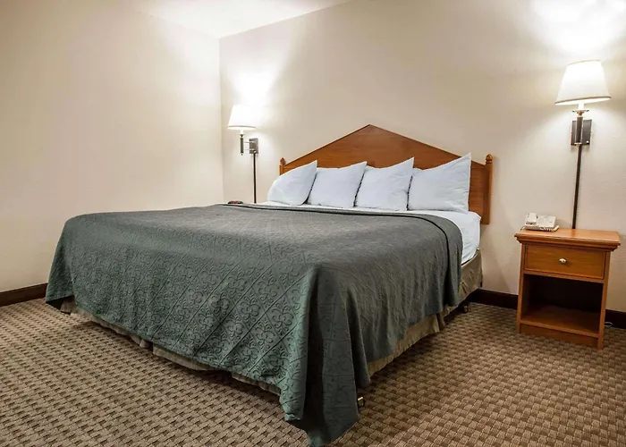 Quality Inn & Suites Federal Way - Seattle