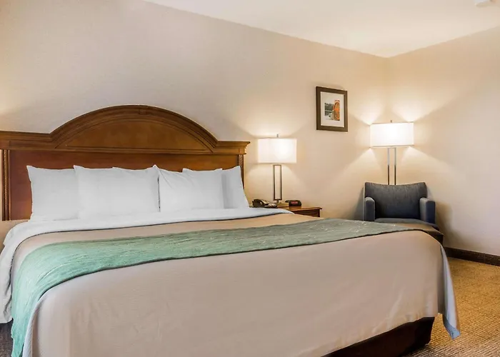 Comfort Inn & Suites South Burlington Near University