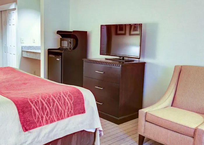 Quality Inn Florence