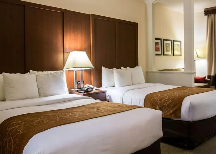 Comfort Suites Cumming-Atlanta Near Northside Hospital Forsyth
